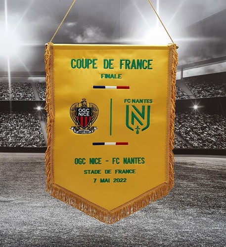 Coupe france finale 2022 fc - france,