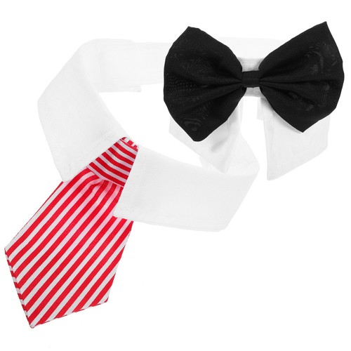 Collerette pour chien - pour,
