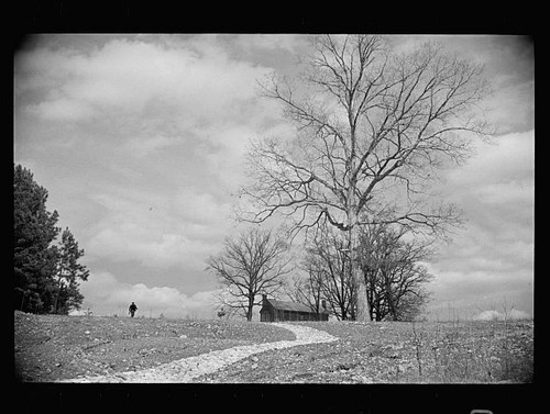 Photo 1930s rural - rural, landscape