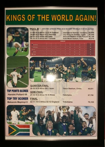 South africa 2019 - rugby, world