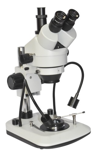 Microscope stéréo