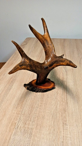 Ancien vrai crâne avec - ancien,