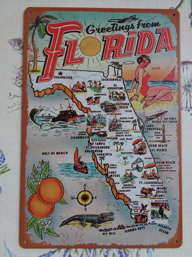Tole metal florida - metal, pin