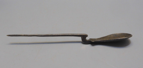 Rare cochlearium cochlear - cochlearium,