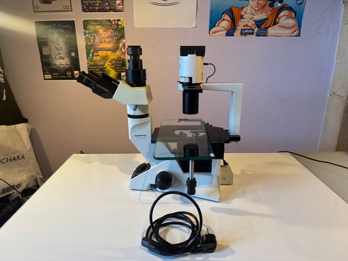 Microscope inversé olympus - inversé,