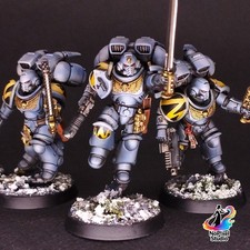 40K -Space W - Assault Intercessors -Pro-Painted Tabletop Premium *COMMISSION*