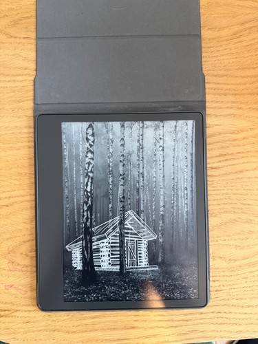 Kindle scribe 1ère - kindle,