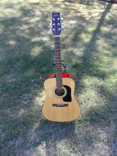 Washburn d10 acoustic - d10, n
