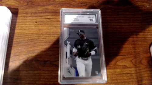 Luis robert 392 - sp, photo