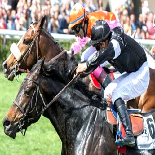 Méthode turf maurice - turf:,