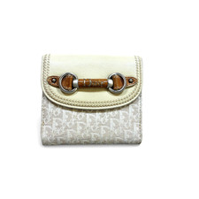 DIOR Romantic Trotter Canvas