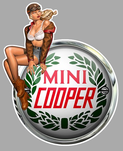 Mini cooper left pin - mini,