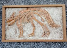 Cadre Empreinte Dinosaure