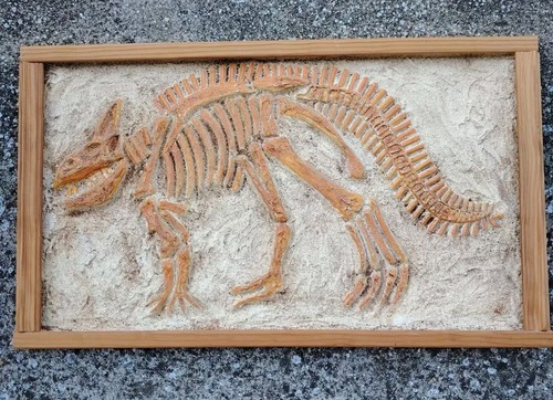 Cadre empreinte dinosaure - cadre,