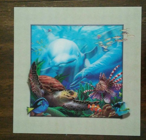 Dolphins turtle tropical fish - ,