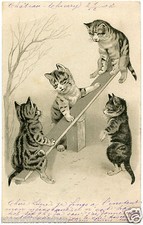 chats.cats.balançoire