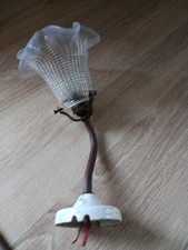 Tulipe Verre Opalescent