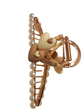 Pince à Cheveux Élégante