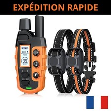 X2 Colliers dressage