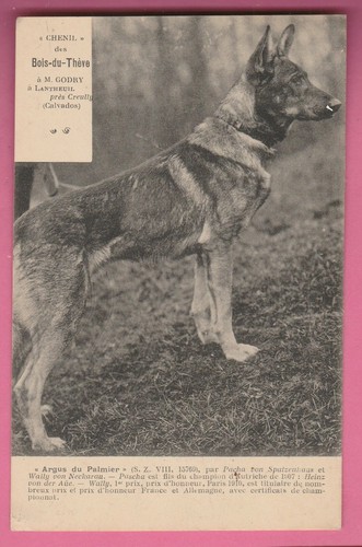 Lantheuil argus du - lantheuil, "argus