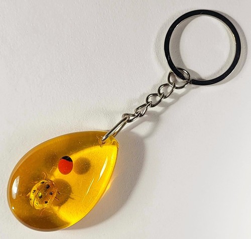 Porte clés insecte réel - porte-clés,