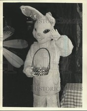 1981 Press Photo Carol Nichols