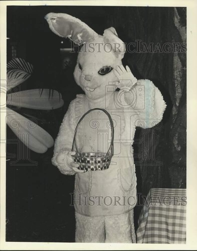 1981 press photo carol nichols - 1981,