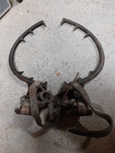 Paire griffes anciennes - de,