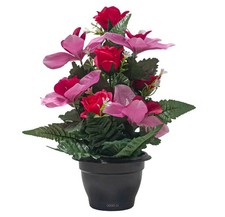 Pot d'Orchidées fleurs