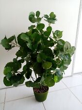 PLANTE ARTIFICIELLE  UN