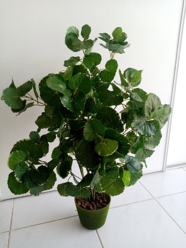 Plante artificielle un - artificielle,