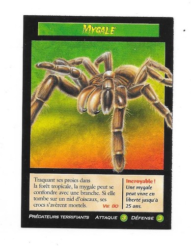 Carte créatures étranges - carte,