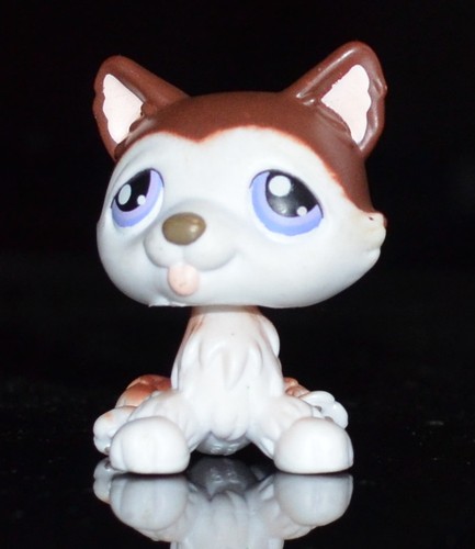 Lps littlest petshop - littlest, husky
