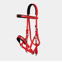 Bridon Licol Et Rênes ZILCO