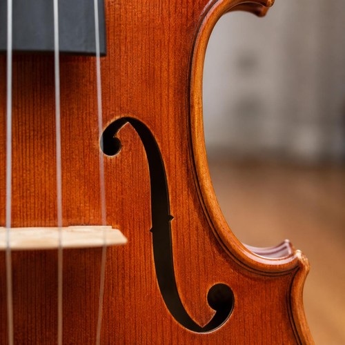 Violon bois massif finition - violon,