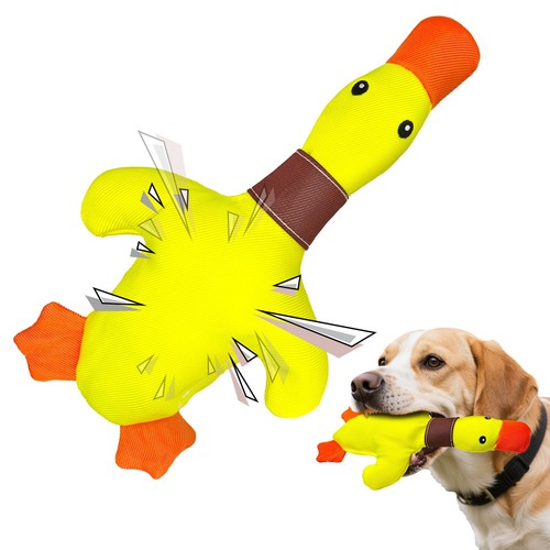 Jouet pour chien - chien,