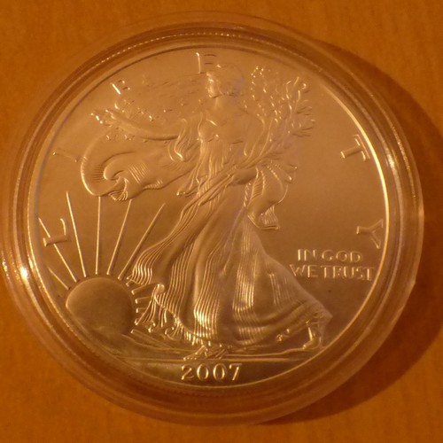 Silver eagle 2007 1 oz - 2007,