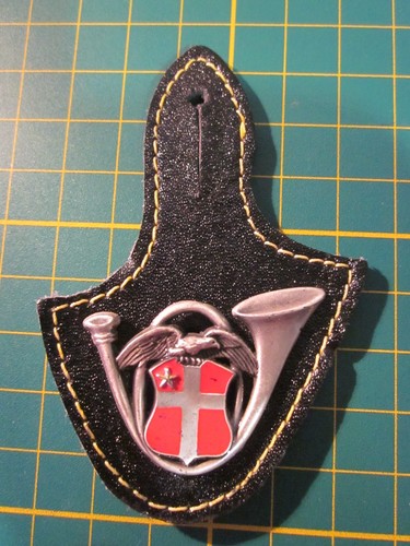 Insigne 13ème bataillon - du,