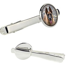 Malinois chien de berger belge épingle de cravate dans une boîte avec une photo 