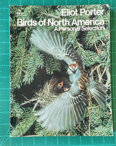 Birds north america - of,