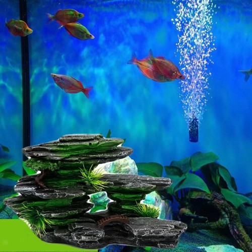 Paysage rocheux aquarium - paysage, d'aquarium