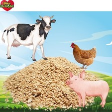 Nourriture pour canaris zebrafinken et distelfinken Nourriture enrichie vitamine