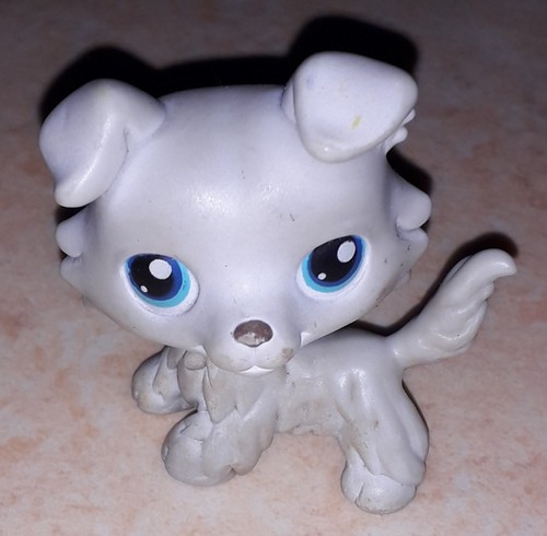 Petshop chien colley 363