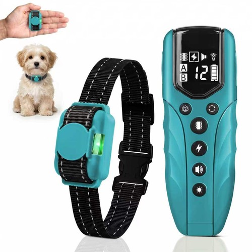 Collier dressage chien avec - collier,
