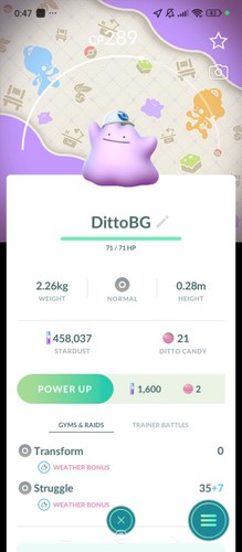 Ditto wearing cap background - wearing,