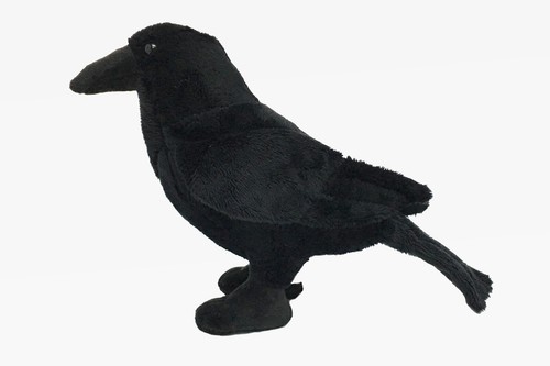 Oiseau peluche rave hauteur - en,