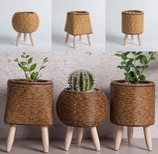 Pot Pour Plantes En Rotin Avec