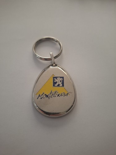 Porte clés automobile peugeot - porte,