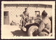 Photo ( 13 x 9 cm ) " Soldat