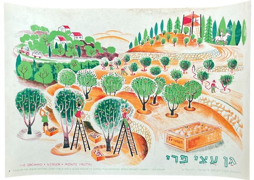 Affiche kkl jnf - kkl,